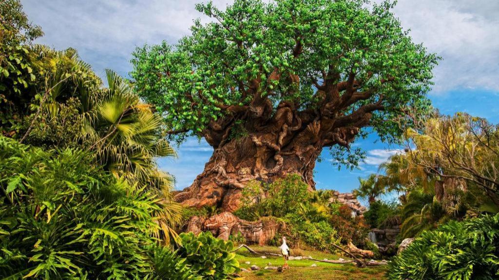 Disney'S All-Star Sports Resort Селебрейшн Экстерьер фото